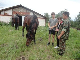 Иппотерапия теперь будет и в нашем Центре